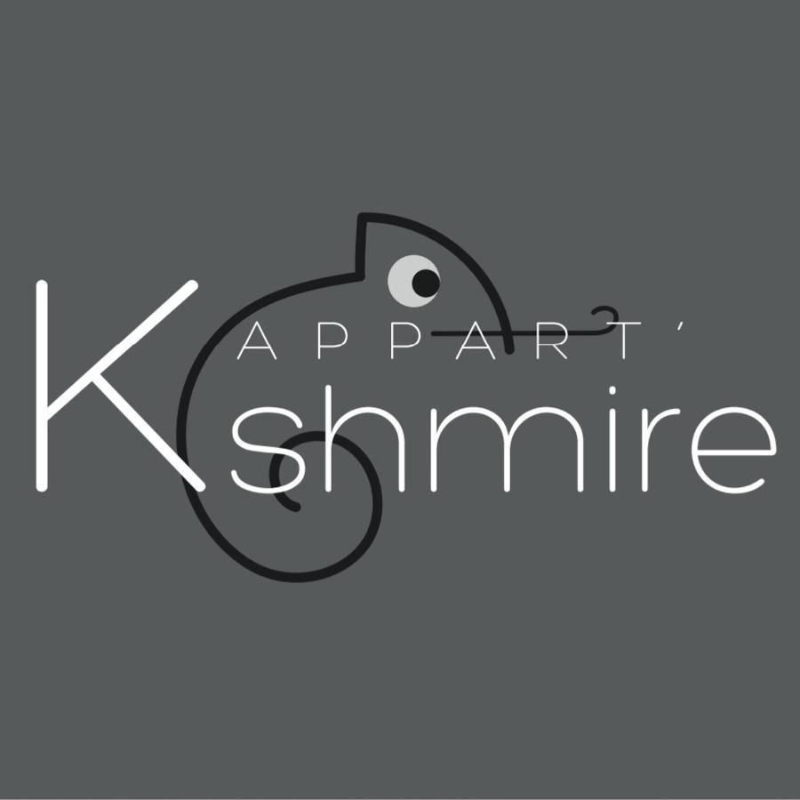 L'Appart K-Shmire- Cosy Et Spacieux, 4 Pers Le Mans Buitenkant foto